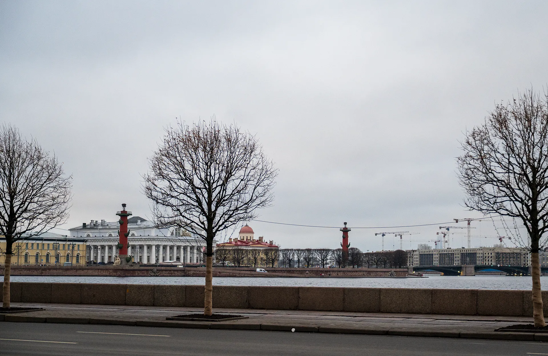 Вид на стрелку Васильевского острова